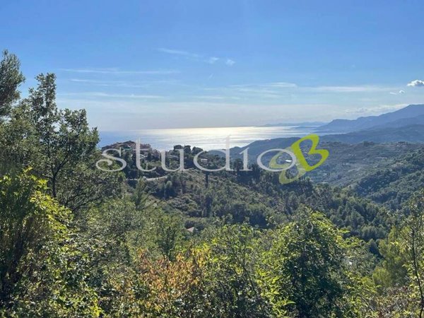 casa indipendente in vendita a Seborga