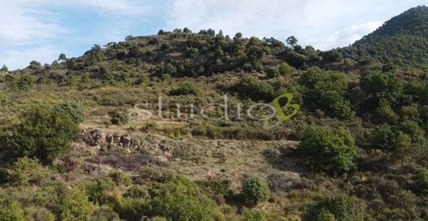 casa indipendente in vendita a Seborga