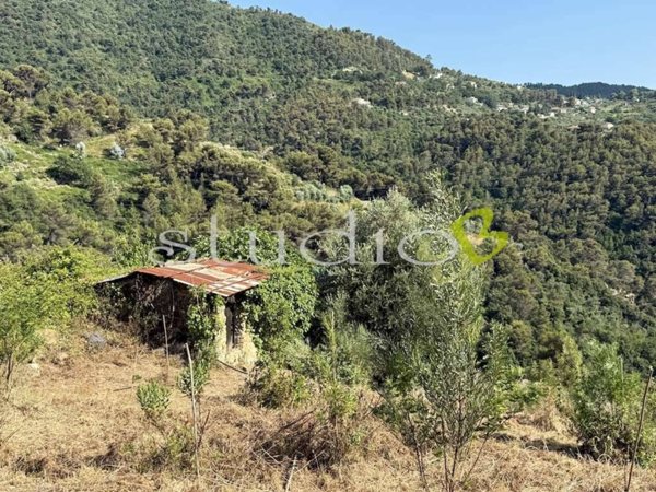 terreno in vendita a Seborga
