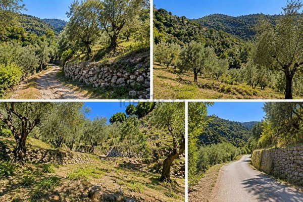 terreno in vendita a Seborga
