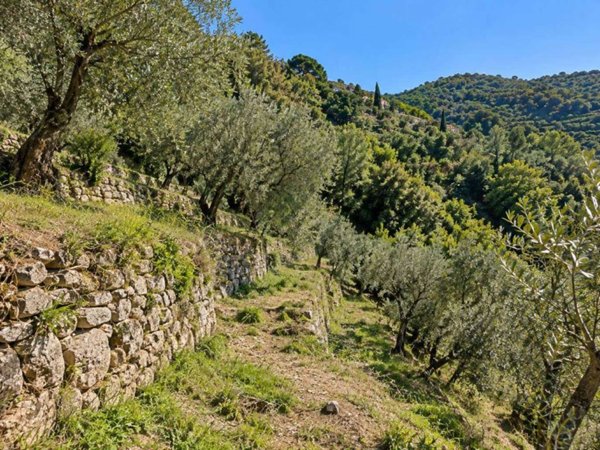 terreno in vendita a Seborga