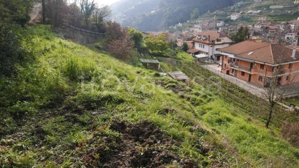 terreno agricolo in vendita a Soldano in zona San Martino