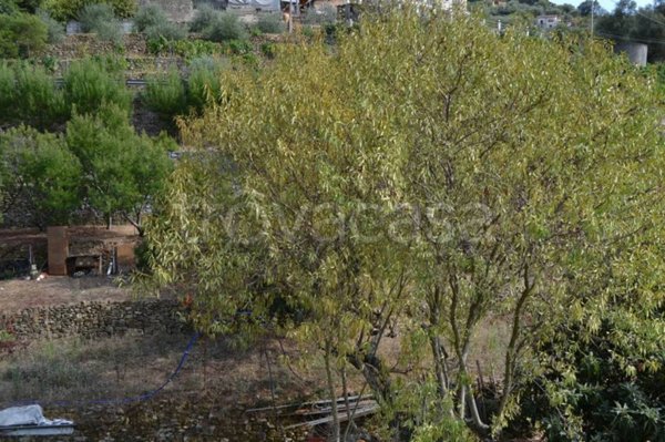 terreno edificabile in vendita a Soldano