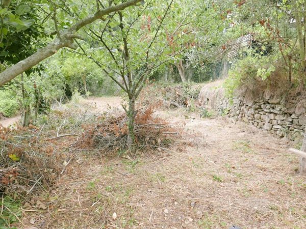 terreno agricolo in vendita a Soldano