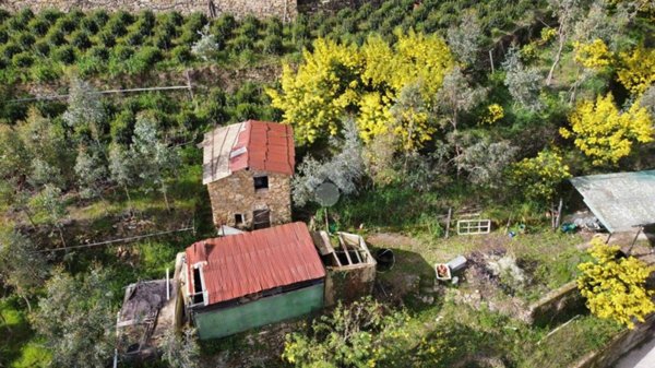 appartamento in vendita a Soldano