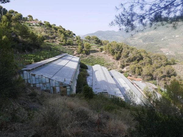 casa indipendente in vendita a Soldano