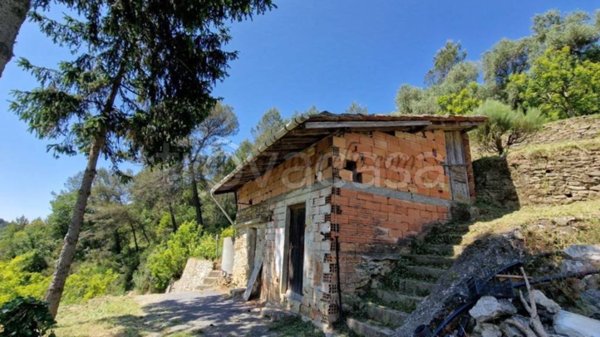 terreno agricolo in vendita a Soldano