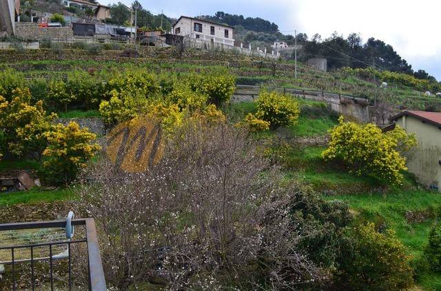 terreno agricolo in vendita a Soldano