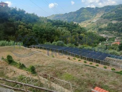 terreno agricolo in vendita a Soldano
