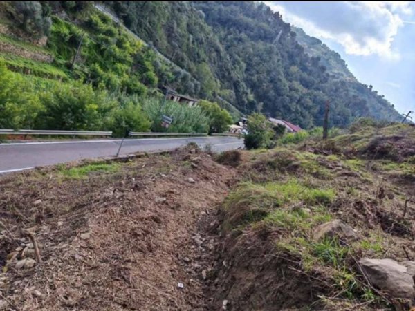 terreno agricolo in vendita a Soldano