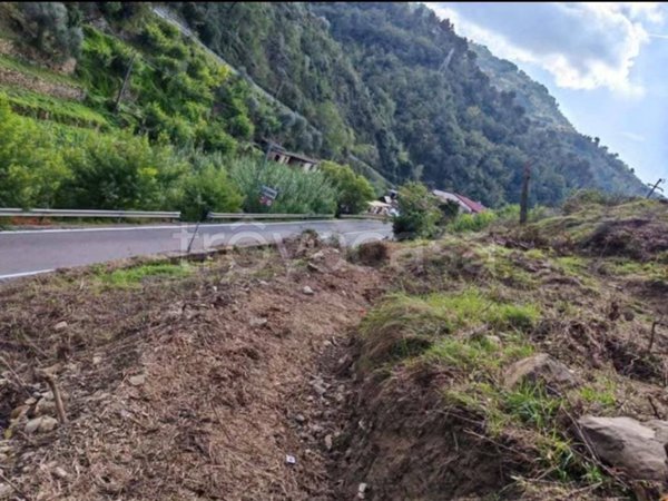 terreno agricolo in vendita a Soldano
