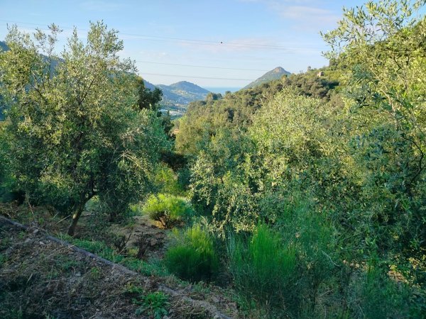 casa indipendente in vendita a Soldano