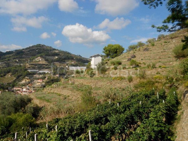 terreno agricolo in vendita a Soldano in zona San Martino