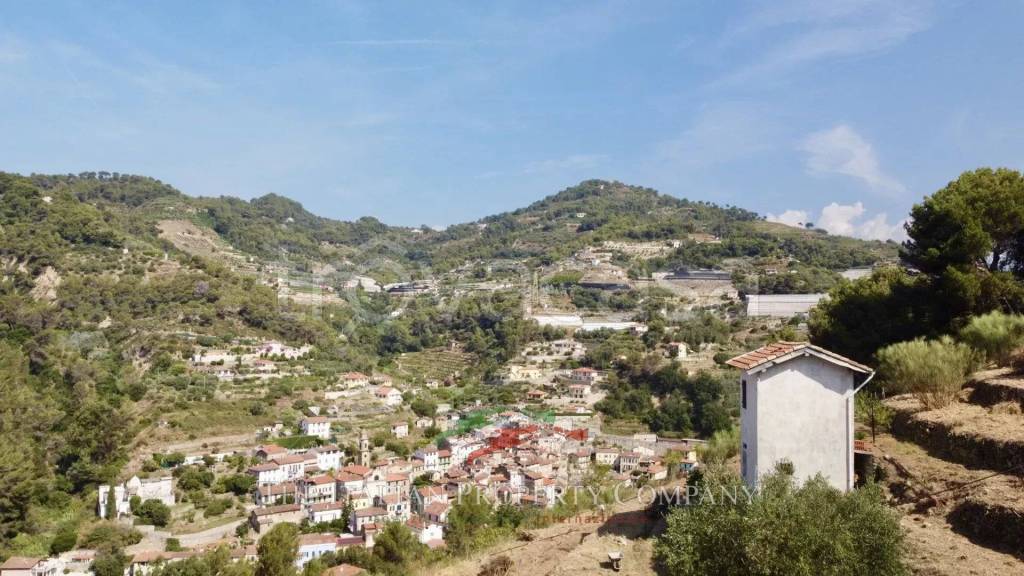 terreno agricolo in vendita a Soldano