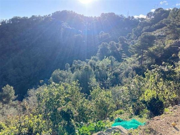 casa indipendente in vendita a Soldano