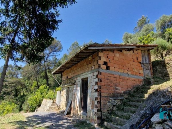 terreno agricolo in vendita a Soldano