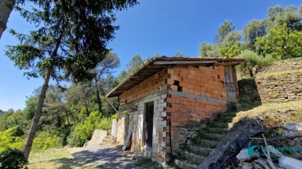 terreno agricolo in vendita a Soldano in zona San Martino