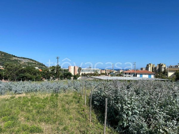 terreno agricolo in vendita a Taggia in zona Arma di Taggia