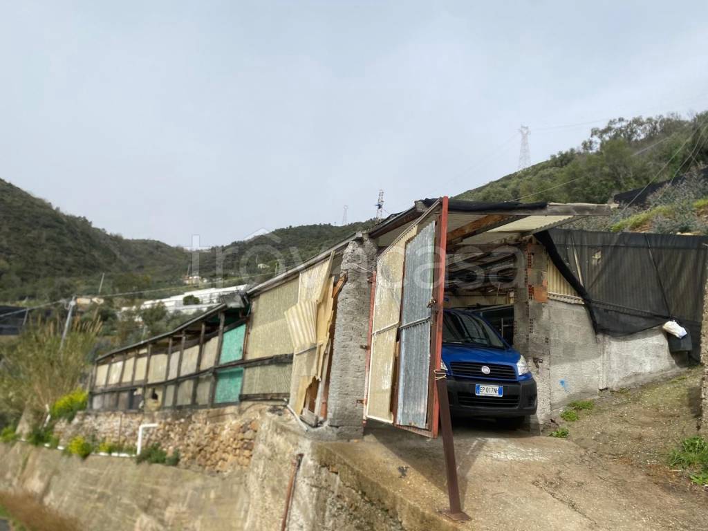terreno agricolo in vendita a Taggia
