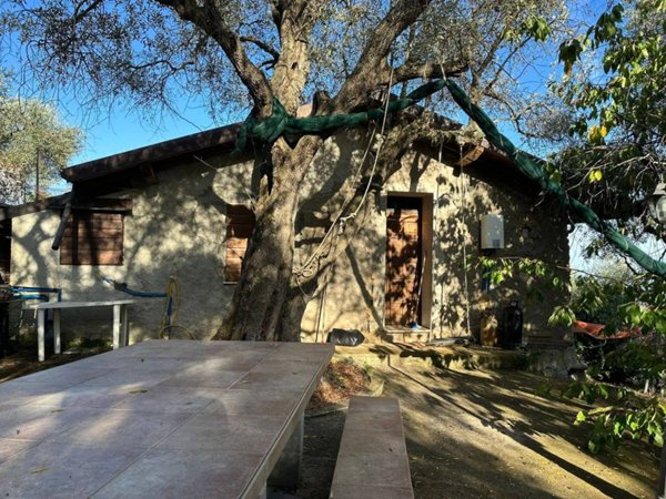 locale di sgombero in vendita a Taggia
