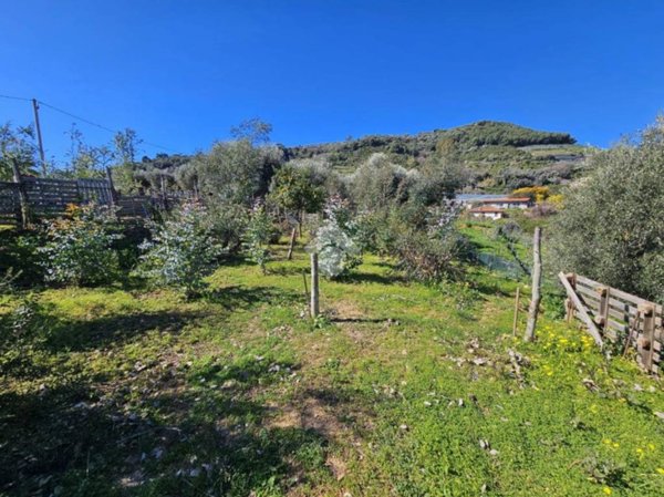 terreno agricolo in vendita a Taggia