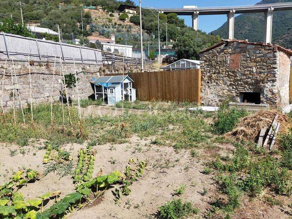 terreno agricolo in vendita a Taggia