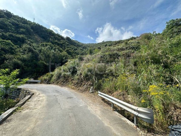 terreno agricolo in vendita a Taggia