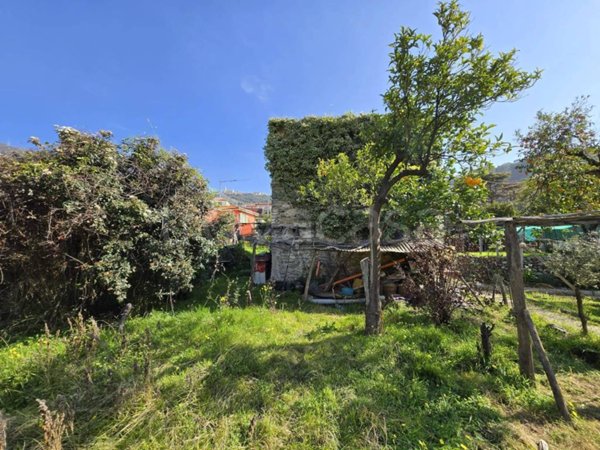 terreno agricolo in vendita a Taggia
