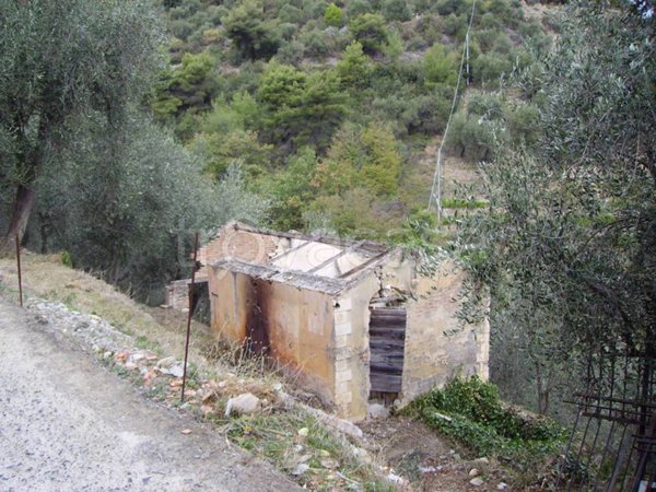 terreno agricolo in vendita a Taggia