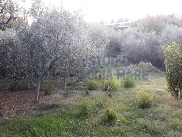 terreno agricolo in vendita a Taggia in zona Arma di Taggia