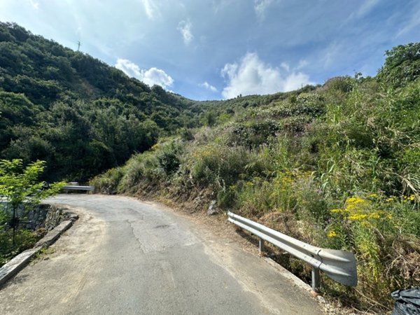 terreno agricolo in vendita a Taggia