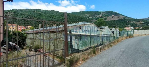 terreno agricolo in vendita a Taggia