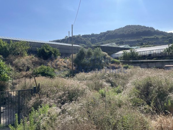 terreno agricolo in vendita a Taggia