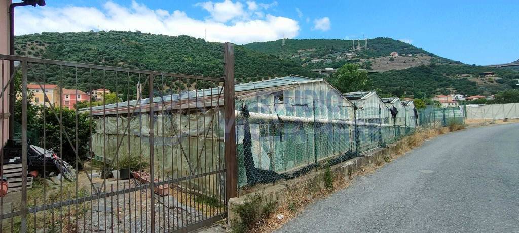 terreno agricolo in vendita a Taggia