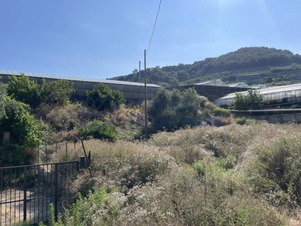 terreno agricolo in vendita a Taggia
