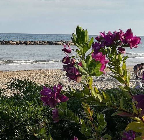 appartamento in vendita a Taggia in zona Arma di Taggia