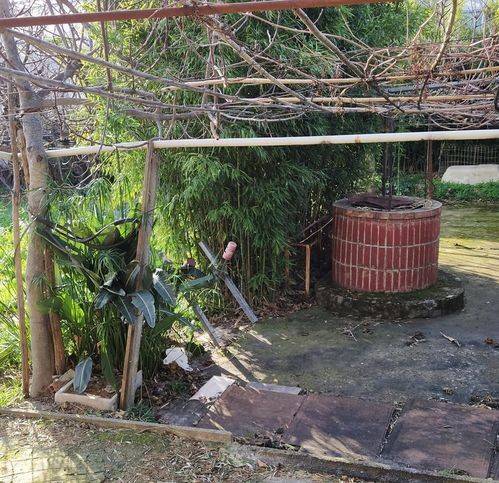 casa indipendente in vendita a Taggia in zona Arma di Taggia