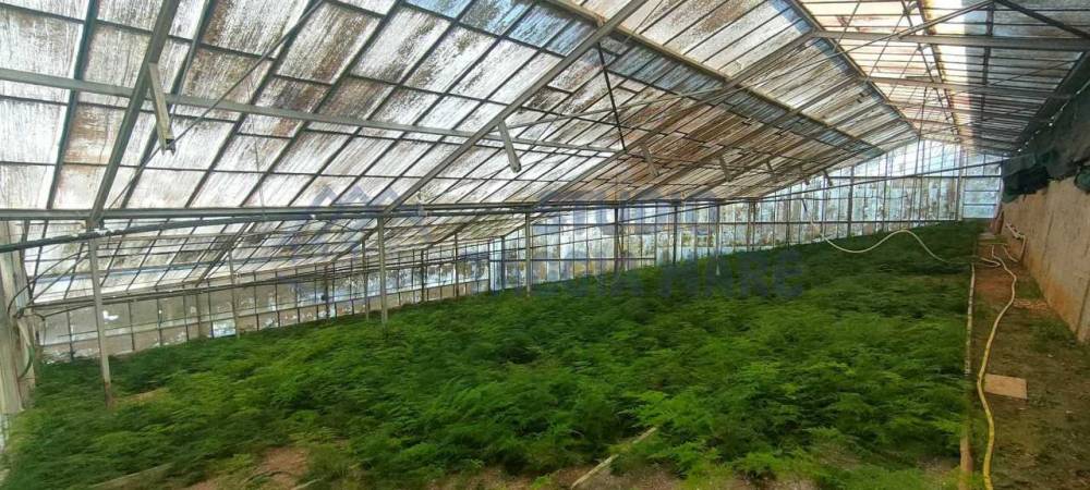 terreno agricolo in vendita a Taggia