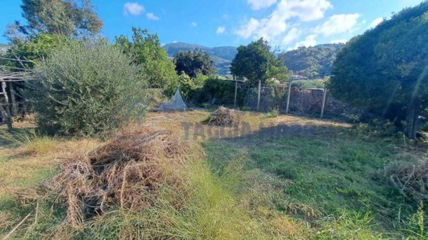 terreno agricolo in vendita a Taggia
