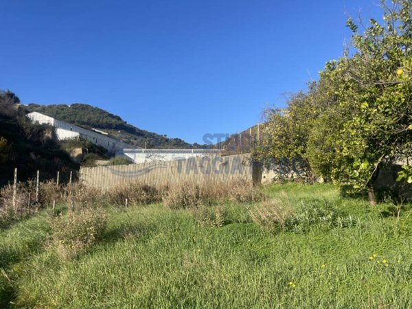 appartamento in vendita a Taggia in zona Borghi
