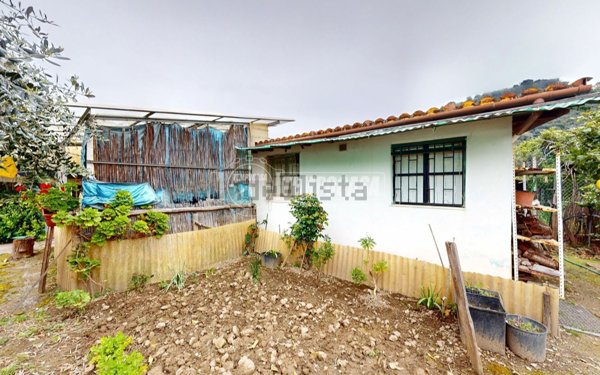 immagine annuncio 0 di 1