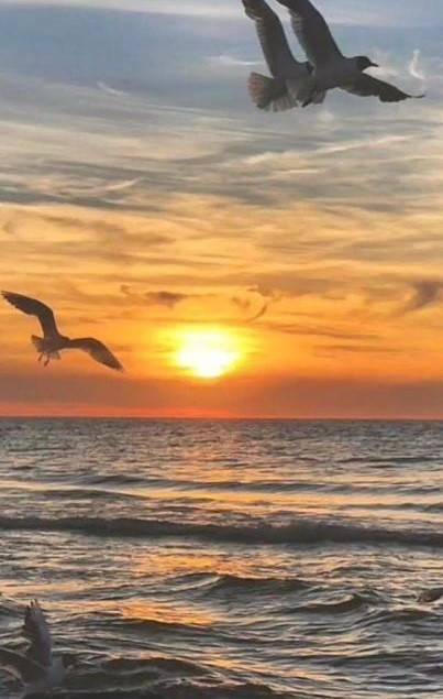 negozio in vendita a Taggia