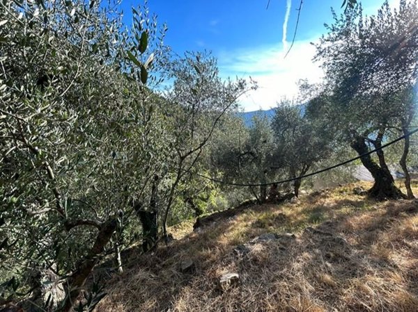 appartamento in vendita a Taggia