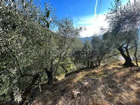 casa indipendente in vendita a Taggia