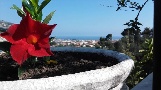 casa indipendente in vendita a Taggia in zona Arma di Taggia