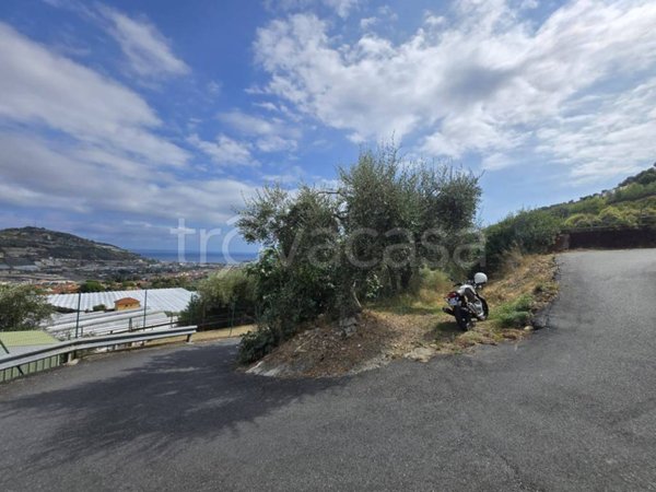 terreno agricolo in vendita a Taggia