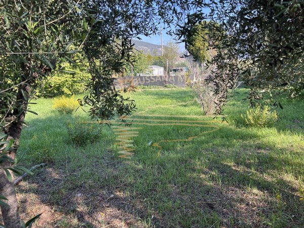 terreno agricolo in vendita a Taggia in zona Levà