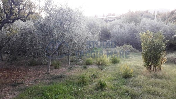 terreno agricolo in vendita a Taggia in zona Arma di Taggia