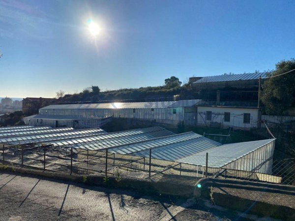 appartamento in vendita a Taggia in zona Borghi