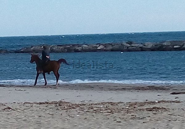 appartamento in vendita a Taggia in zona Arma di Taggia